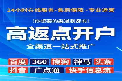 关键词竞价排名实战案例精选解析